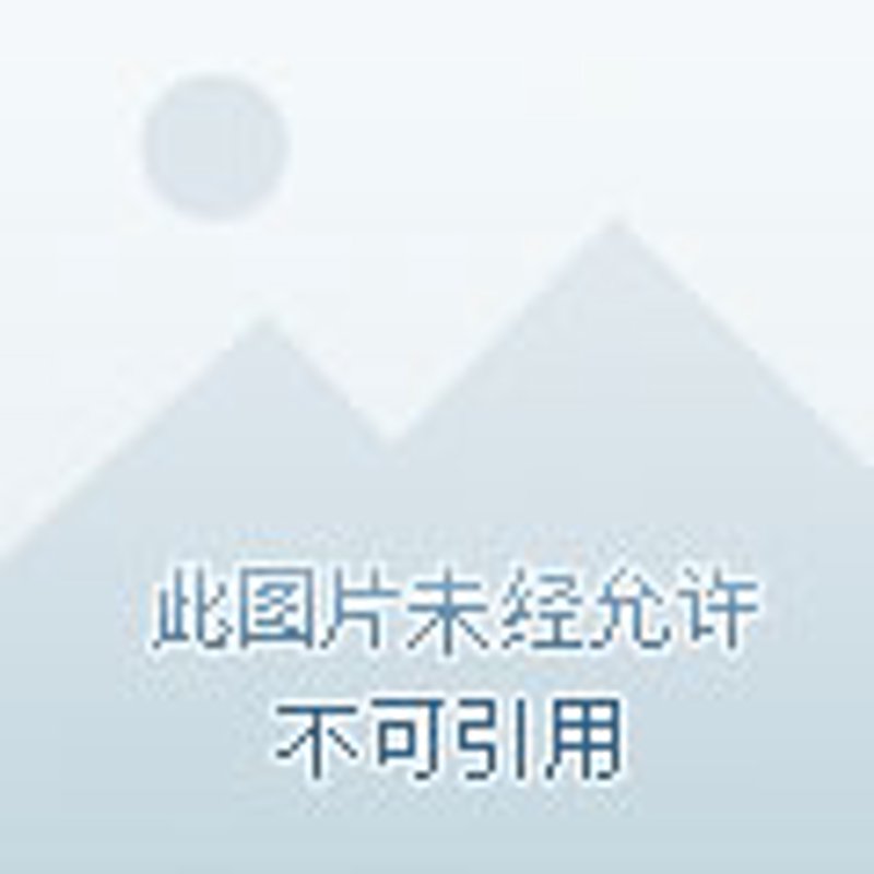 网络布线：构建高效网络环境的步骤指南